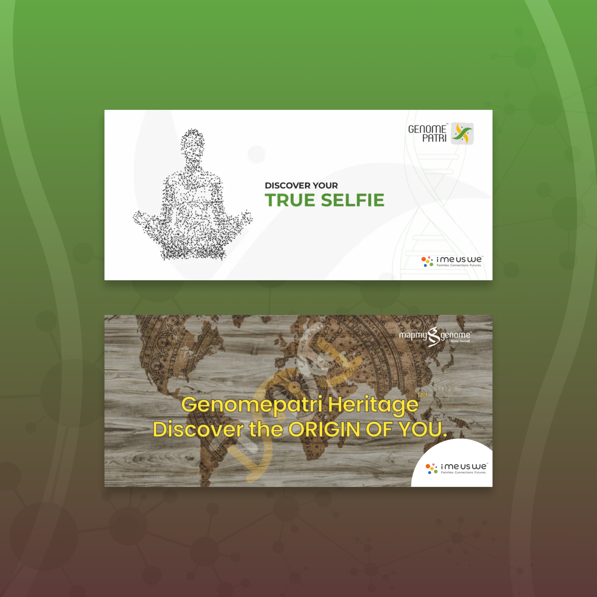 Genomepatri Health & Ancestry Combo