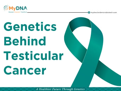 Genetics Behind Testicular Cancer